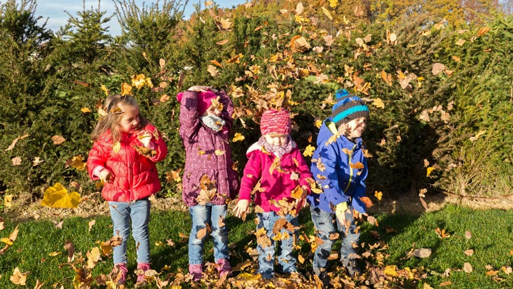 Lause Im Kindergarten Was Tun Betzold Blog